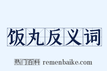 饭丸反义词是什么意思的图片